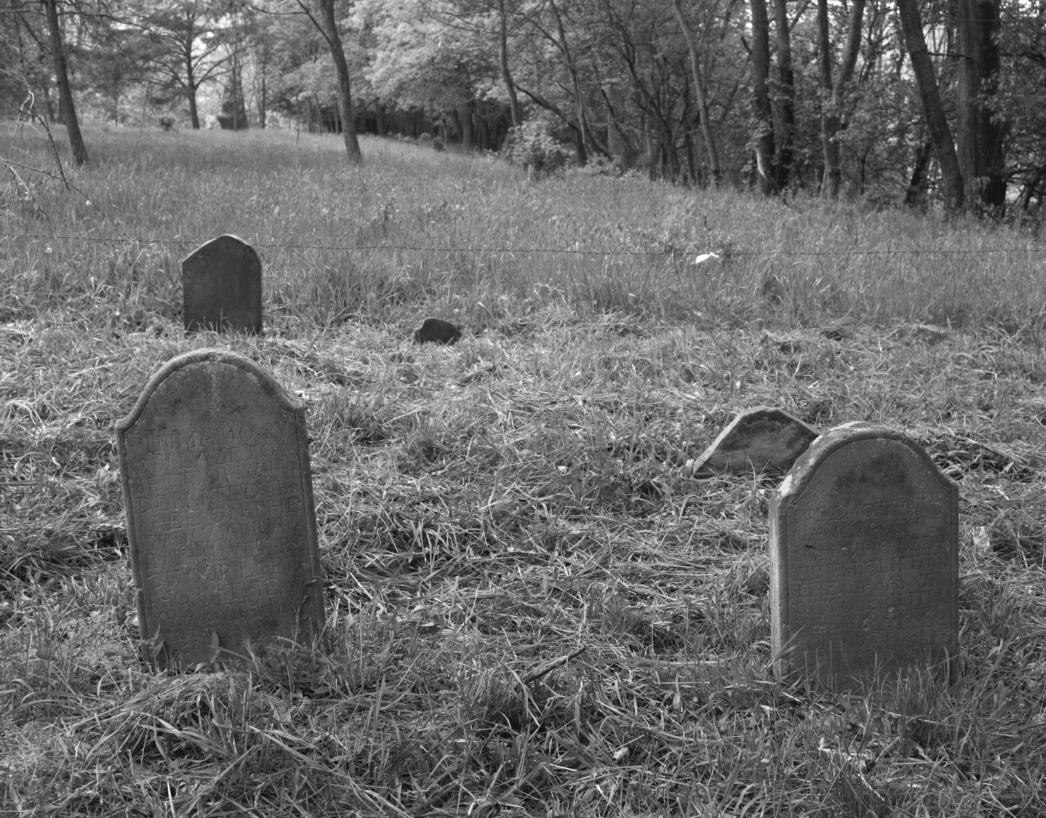 Scattered headstones in a rural cemetery on a hillside in West Virginia.