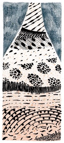 Illustration of a section view of a soil monolith